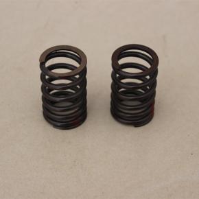 valve spring